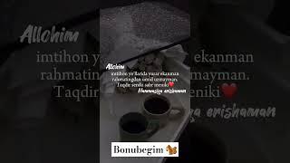  HAMMASIGA ERISHAMAN | #youtube #youtubeshorts #trend #tiktok #instagram #love #lovestatus #good