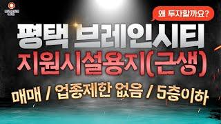 (거래완료)평택 브레인시티 땅 1000만원? 이런 땅은 여러 말 할 것 없이 투자하세요. 놓치면 후회합니다. / 브레인시티 지원시설 용지 매매 #땅매매 #평택부동산 #평택토지