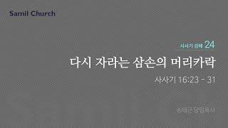 수요성경강좌/사사기 강해(24)/‘다시 자라는 삼손의 머리카락’