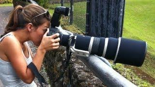 Bird and Wildlife Photography Equipment: Lenses, cameras, teleconverters, tripods, monopods