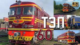 ТЭП60 - живой! ️ Вишнёвый! Советский тепловоз ТЭП60-0904 с поездом «Зоопарк экспресс», 2024. 4k