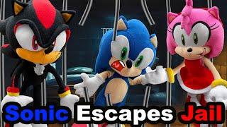 TT Movie: Sonic Escapes Jail