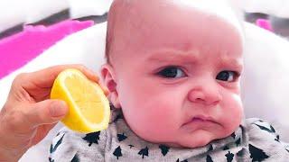 Adorable Baby Reactions to Everything - Funny Baby Videos