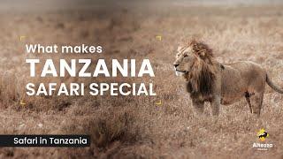 What makes Tanzania safari special | Altezza Travel