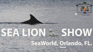 SeaWorld| Sea Lion Show from SeaWorld| Sea Lions in SeaWorld, Orlando, Florida, US