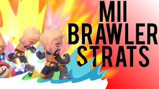 The Truth About Mii Brawler