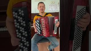 Самая необычная песня Угадали? #аккордеонист #баянист #музыка #гармонист #песня #каверхит