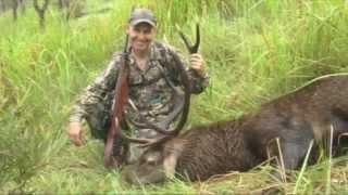 Hunting Australia, Chital Deer,Red Deer, Water Buffalo, Pigs & Wild Dogs