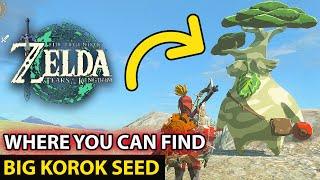 Where You Can Find First Time Big Korok Seed Location Guide  The Legend of Zelda Tear of the Kingdom