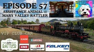 Assistance Animal  tries the  VIP Club Car on the Mary Valley Rattler Experience , Gympie QLD