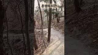 혼생의 시간 #김일교수 #생따연구소 #수락산 #생각명료화전문가김일 #혼생