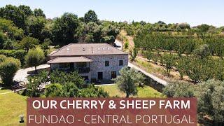 FULL TOUR OF OUR CHERRY & SHEEP FARM IN CENTRAL PORTUGAL - FUNDAO