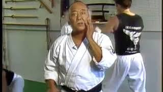 Mr Miyagi at Frank Dux, Dux Ryu Ninjitsu Dojo