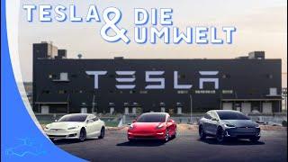 Teslas Umweltauswirkungen | Wie sauber ist Tesla? | Steckt mehr dahinter?