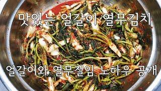 진짜 진짜 맛있는 얼갈이열무김치  환상의 두가지맛 내기 비법