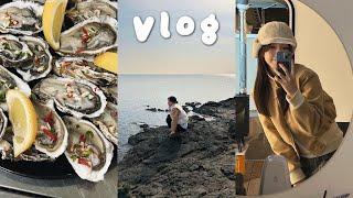 (vlog) 국내 여행 브이로그 /게국지 소울푸드 등극, 게장 맛집, 겨울여행, 굴찜, 석화랑 소주, 캠핑 없는 캠핑카️)