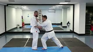 Bunkai Pinan Shodan