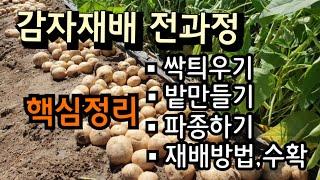 [24-177]감자재배 전과정 30분 완성 핵심정리