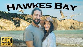 Exploring Hawkes Bay | Is This New Zealand's Best Climate?