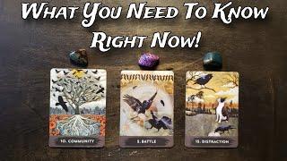 ‍️ What You Need To Know Right Now! ‍️ Pick A Card Reading