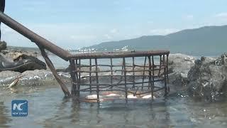 Hot springs of Lake Bogoria attract tourists to cook eggs