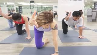 Hot Yoga Pilates (Back) (Beginner Classes) - Avante body and wellness