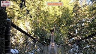 Lynn Canyon Park & Suspension Bridge, almost lost in the forests