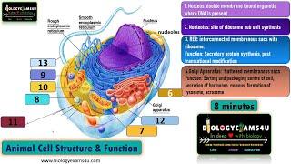 Animal Cell Structure and Function in 8 Minutes ||Biologyexams4u