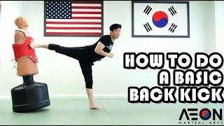 How to do a Basic Taekwondo Back Kick