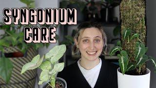 SYNGONIUM CARE TIPS & TRICKS