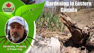 Prepper Dan  Early Gardening in Canada Vlog1