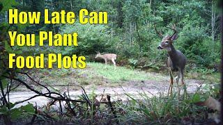 How Late Can You Plant Food Plots For Deer