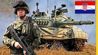 Review of All Armed Forces of Croatia Equipment / Quantity of All Equipment