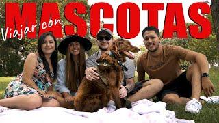 ️ VIAJAR y VIVIR con MASCOTAS en CANADÁ 