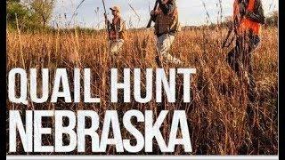 Quail Hunt Nebraska