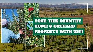 Tour This Colorado Orchard For Sale With Us – Modern Country Home with 28 Acres on Redlands Mesa