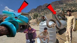 Nomadic Life: Danger Awaits Nomadic Couple | Nomadic Life with the Wonders of Nature