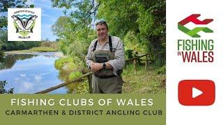 Fishing Clubs of Wales: Carmarthen & District Angling Club - River Towy and Tributaries