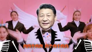 【Rubao】Funny Shithole Dictator（BGM：Sunshine, Rainbow, White Pony - Wowkie Zhang）「Jinriki Vocaloid」