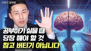 "뇌가 작동하는 원리를 알아야 합니다." 뇌가 자동으로 공부하게 만드는 스킬 알려드립니다. (이윤규 공부법)