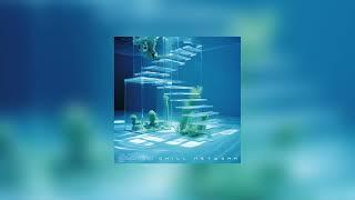 ELECTROCHICOS - Chill Network (Full Album) 🫧🪸