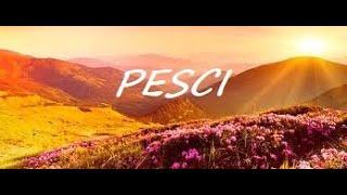 PESCI...ASPETTANDO L'AUTUNNO