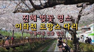 진해 벚꽃 명소 여좌천 로망스 다리 - 벚꽃 세상이 펼쳐지는 곳