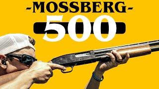 This Gun Started My Career | Mossberg 500 12ga Pump Shotgun Review