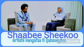 Shaabee Sheekoo, Gafiif Deebii Guutuu Bosonaa Dheeressaa wajjiin