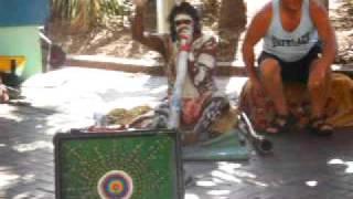 Aboriginal Didgeridoo Player