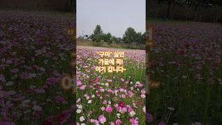 구미 사람들은 가을에 꼭 여기 갑니다~ #구미 #명소투어