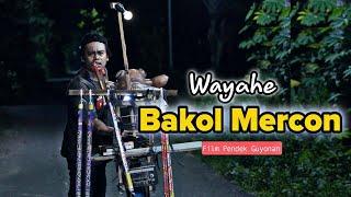 WAYAHE BAKOL MERCON || EPS 104