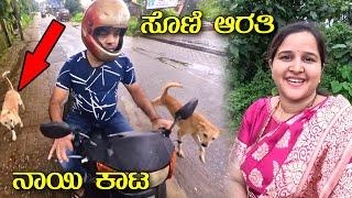 ಥೂ! ಈ ನಾಯಿಗಳ ಕಾಟ ಅಷ್ಟಿಷ್ಟಲ್ಲಾ | ಹಾಲಾಡಿಯಲ್ಲಿ ವರ್ಷದ ಸೊಣಿ ಆರತಿ | Kannada Vlogs | Mr and Mrs Kamath