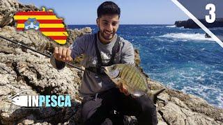 MENORCA Ep. 3 | BOLOGNESE EXTREME - Buscando el SARGO en la ESPUMA (Scogliera di Punta Grossa)